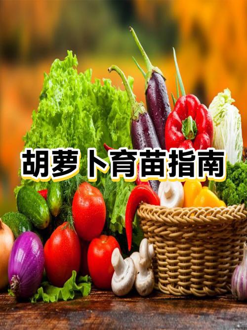 带孩子种什么植物最快