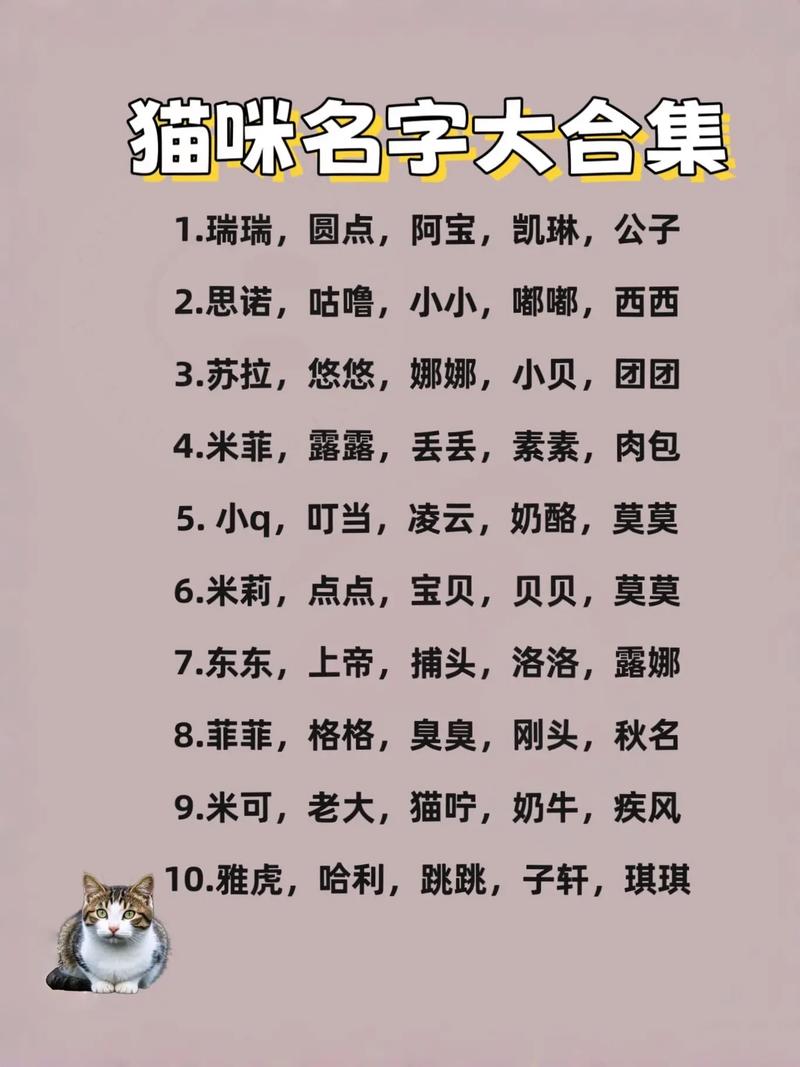 给小猫取名字大全