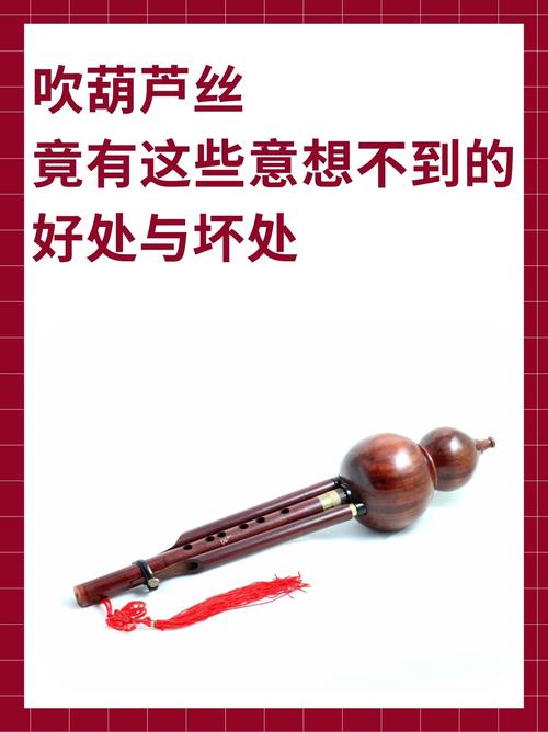 吹葫芦丝的危害缩略图