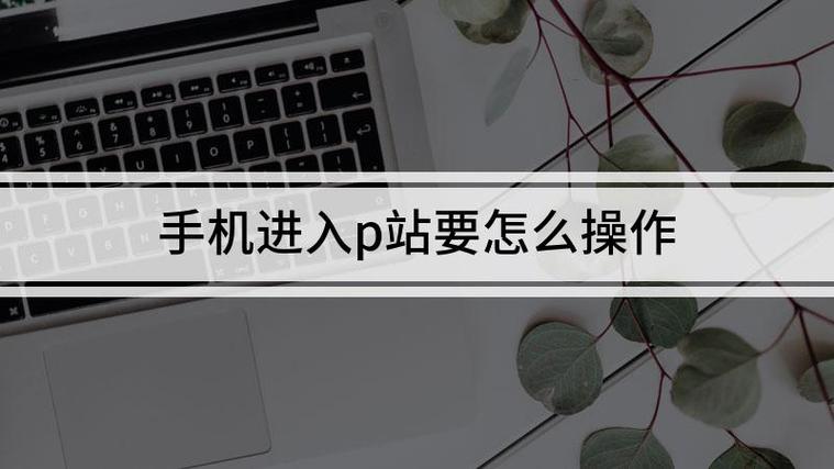 手机p站怎么进去方法