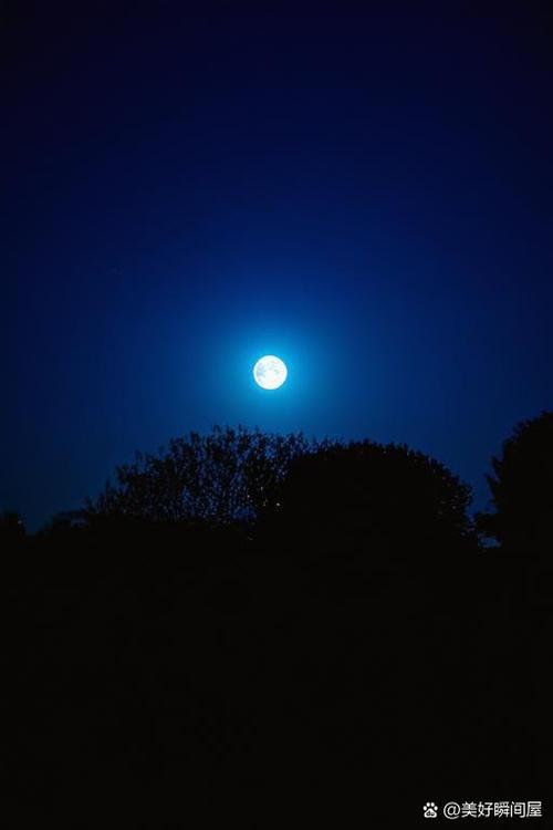 皎洁的夜晚图标