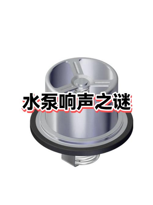 循环泵一转水声很大