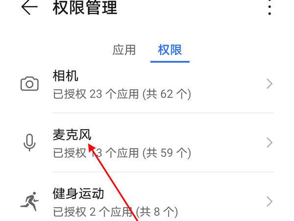 怎么样打开麦克风权限开关