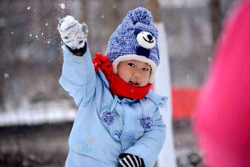 下雪汤姆猫