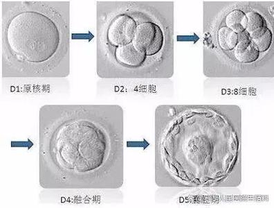 移囊后没反应但成功