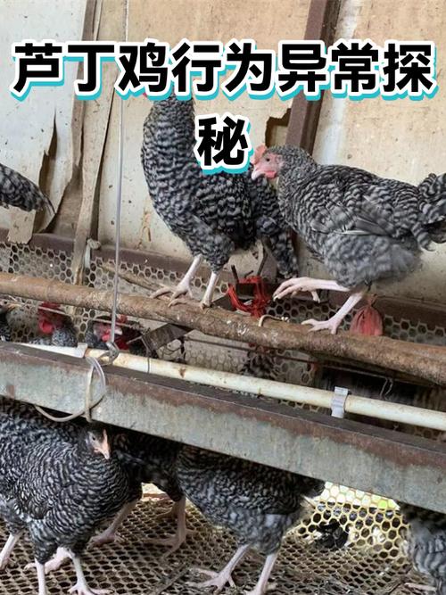 什么原因会存在行为异常