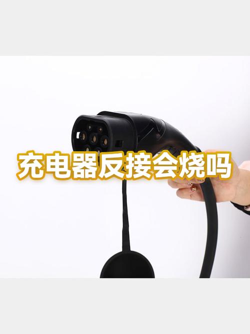 小鸟充电器是反接吗