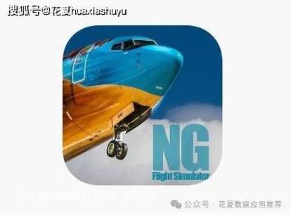 模拟飞行10苹果中文