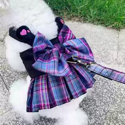 极速兔