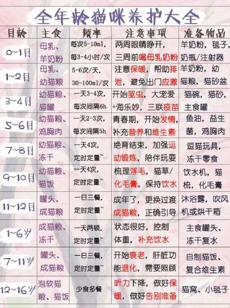猫咪可以吃清水挂面吗截图