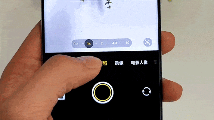 vivo动态照片怎么