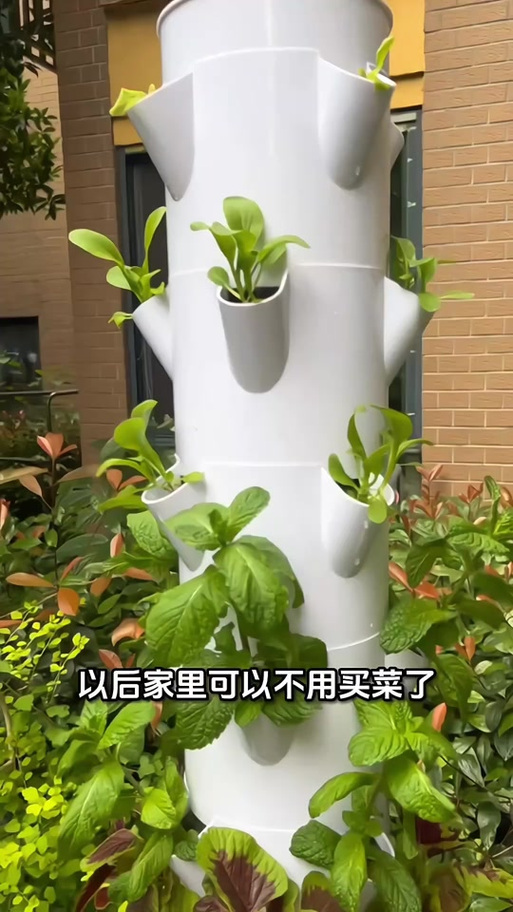种菜机器大全