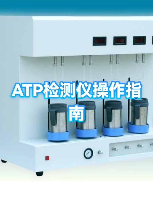 atp杯赛制
