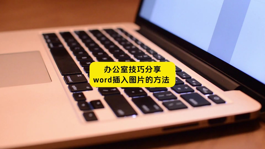 海鸥给哪些品牌代工