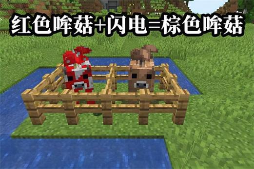 我的世界棕色蘑菇怎么种截图