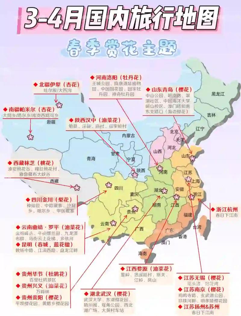 哈尔滨市依兰县哪里卖呲花的