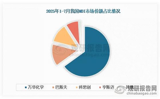 巴斯夫在中国市场的占比