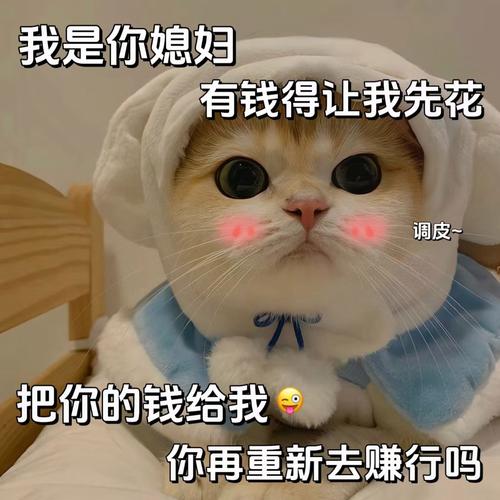 骗男朋友钱的表情包