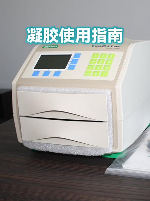 凝胶的正确使用方法