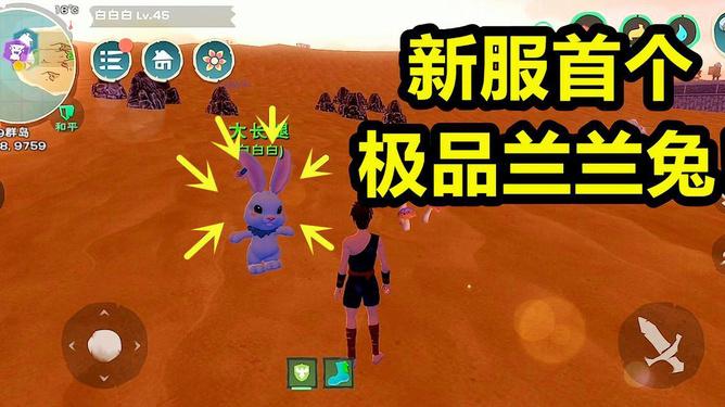 创造与魔法兔子五阶