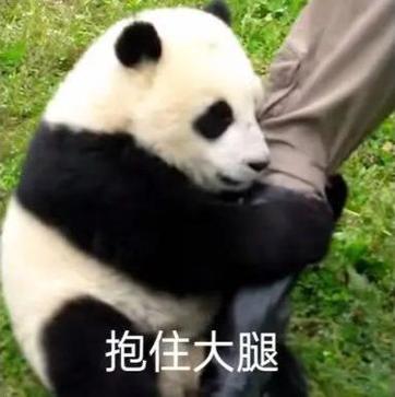 抱大腿表情包