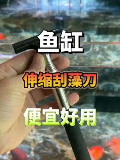 鱼缸里有鱼腥味怎么消除图标