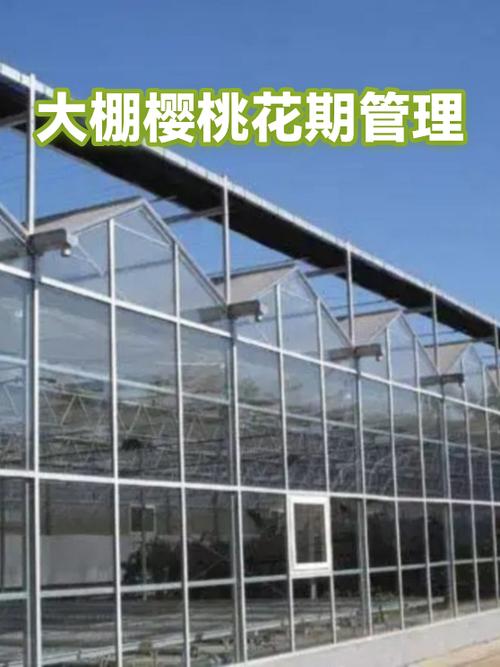 樱桃花期管理七个步骤