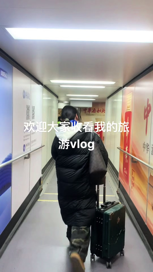 用海鸥聊天的都是什么人