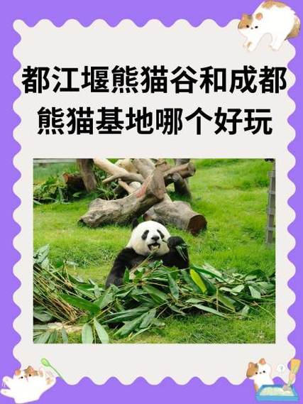 熊猫基地和熊猫谷哪个好