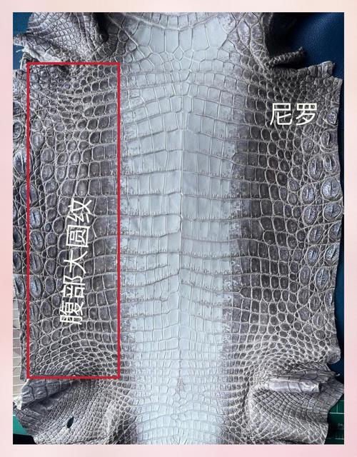 鳄鱼皮怎么卖