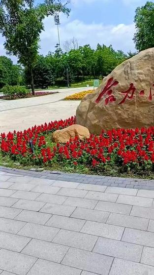 哈尔滨平房区合力公司