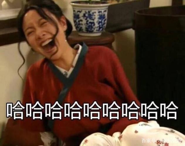 武林外传的梗