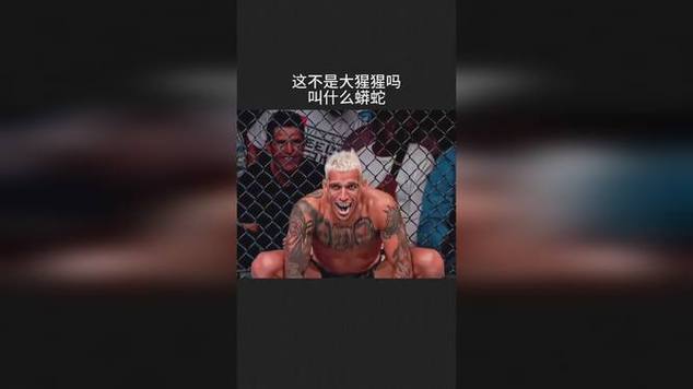 拳击夜魔vs蟒蛇