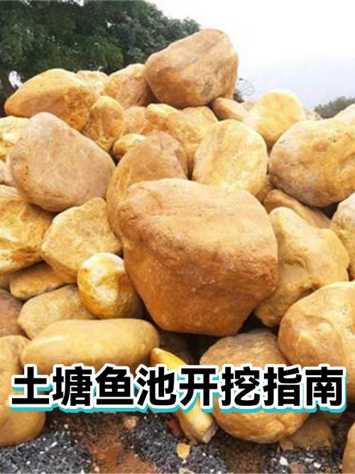 自己挖鱼池方法