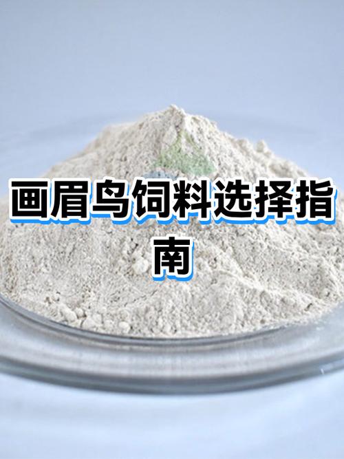画眉鸟性烈的驯服方法游戏截图