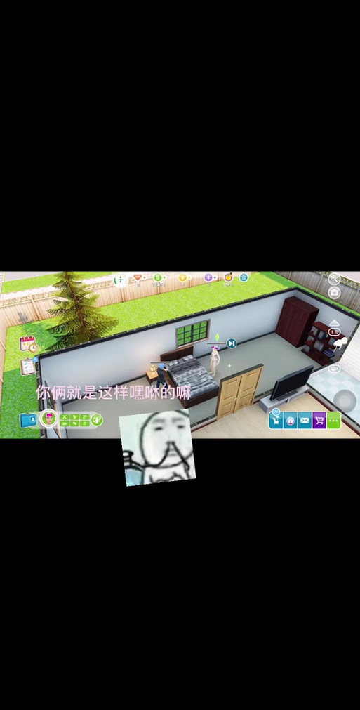 模拟人生4doi动画