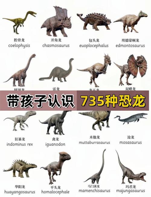 最强恐龙第1一26集视频