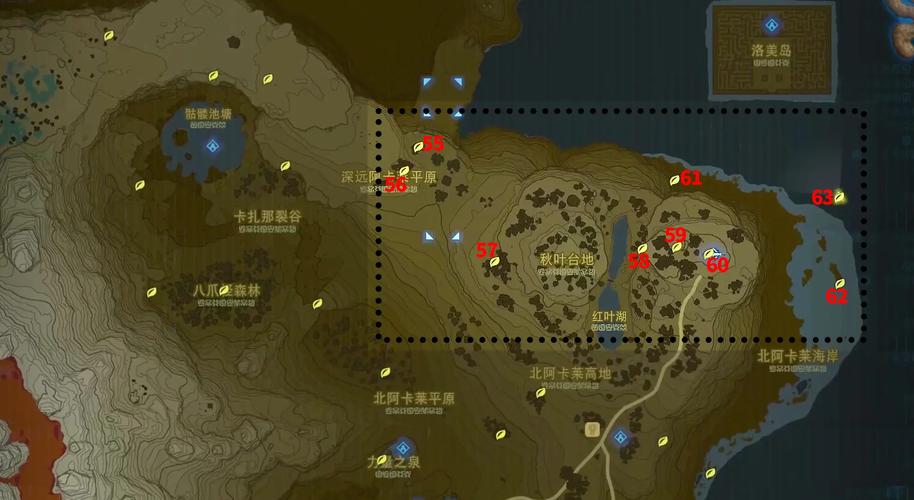 阿雷克隆在哪里