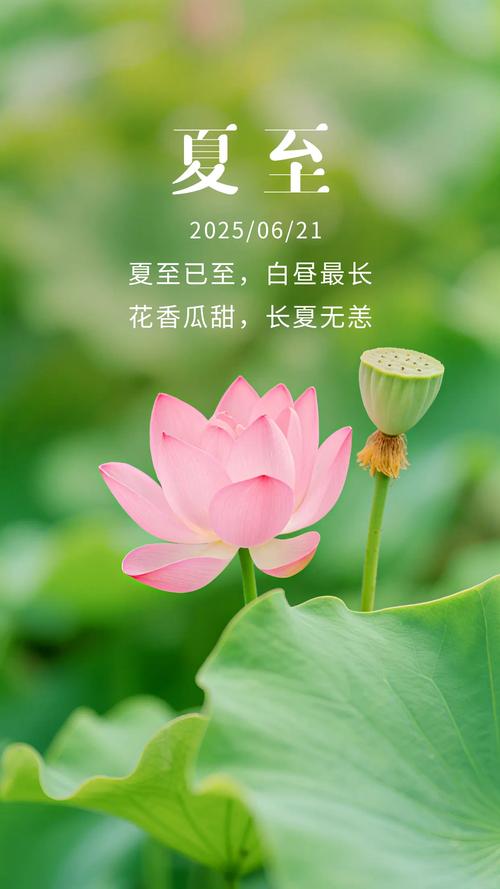 余生漫漫皆为夏至