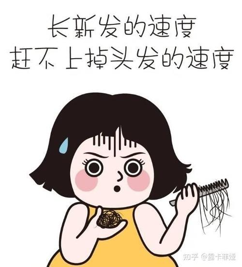 经常脱发怎么办