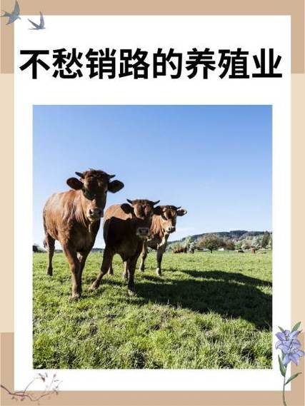 不愁销路的养殖业