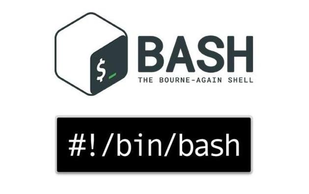 bash shell