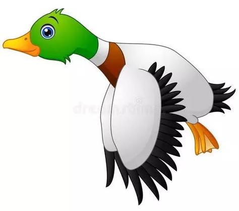 sunkmyduck