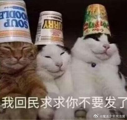 求你,要