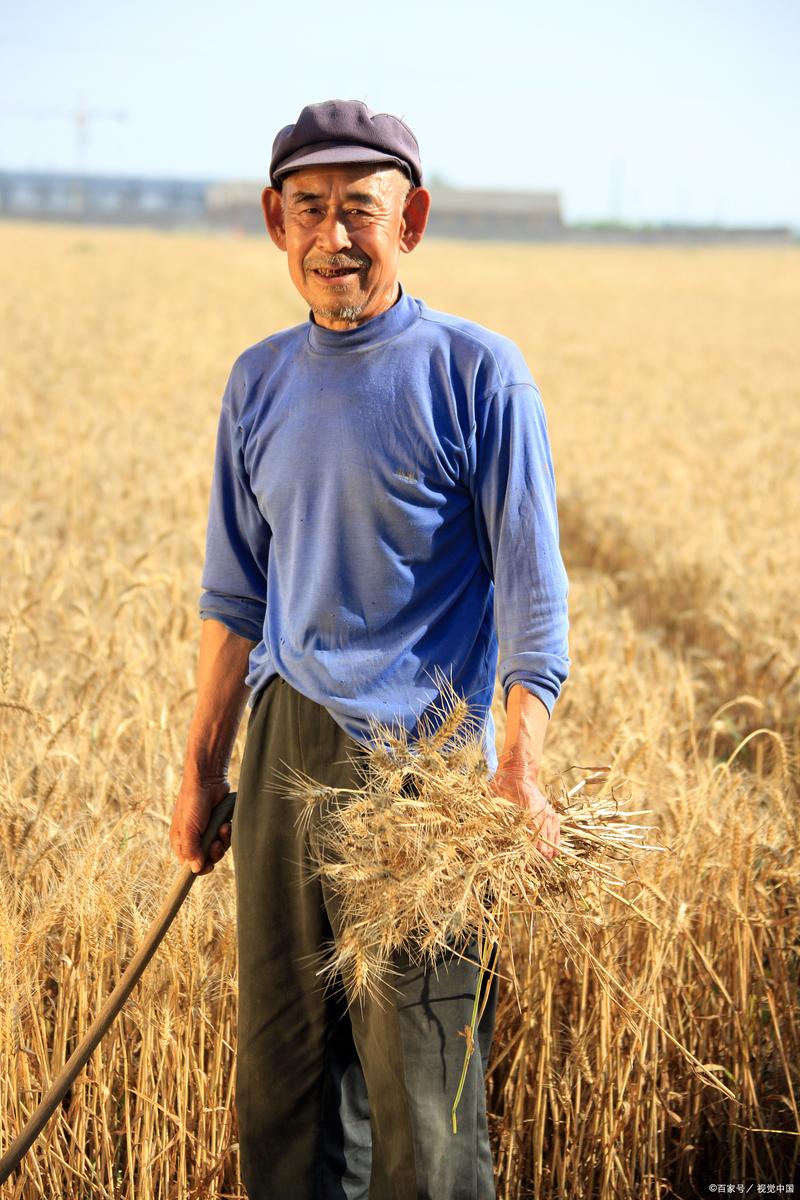回乡小农民