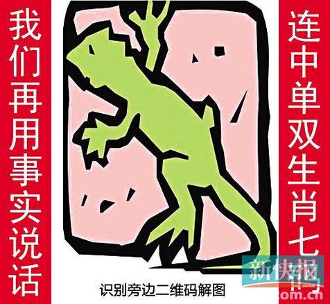 今日新快报金钱豹
