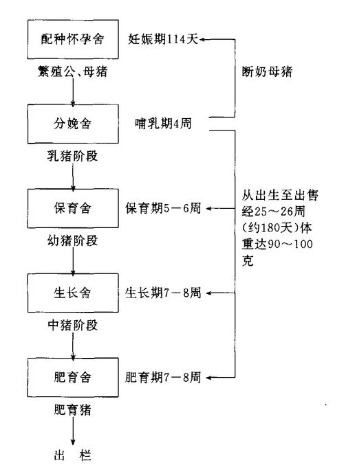 花小猪第一次打车流程