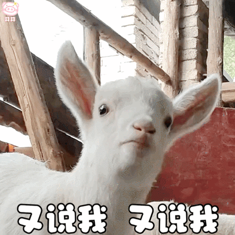 哎呀呀这是谁呀可爱到发芽