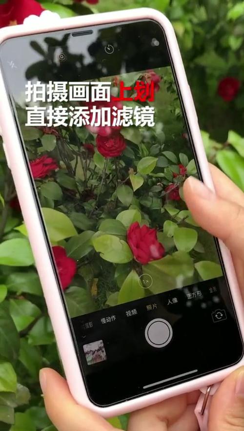 苹果6照相抖动怎么回事