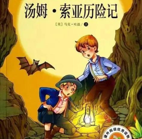 汤姆索亚历险记宝藏在哪里